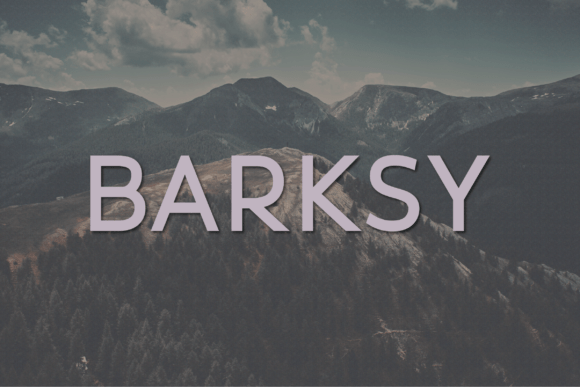 Barksy: A Modern Sans Serif Typeface for Web Design