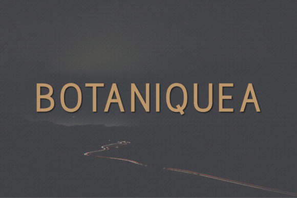 Botaniquea: The Modern Typeface for Small Business Branding
