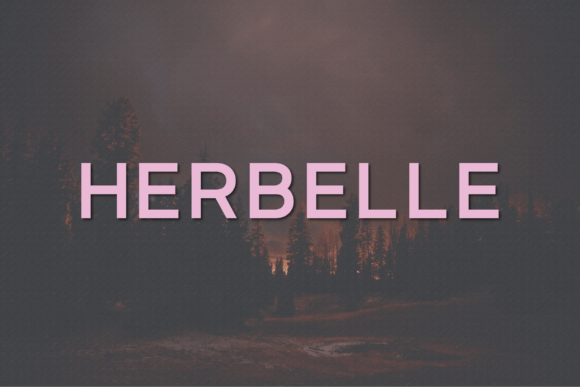 Herbelle: A Modern Sans Serif Typeface for Editorial Design