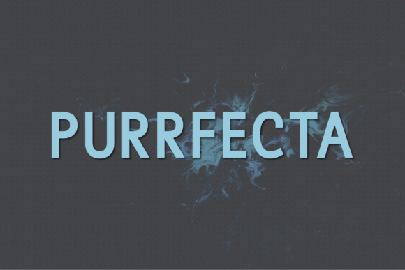 Purrfecta Typeface Review for Modern Branding
